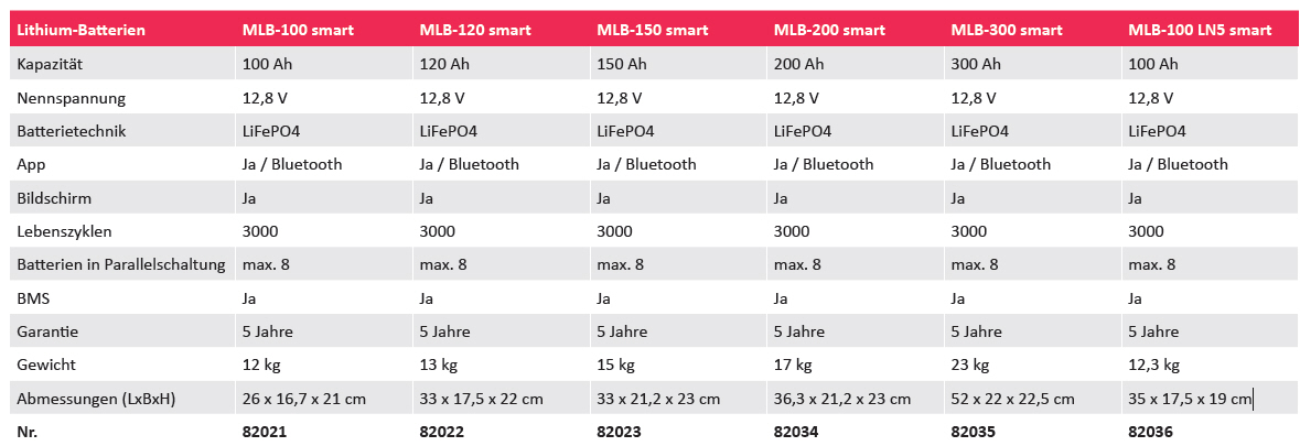 Mestic Lithium Batterie MLB-100 LN5 smart